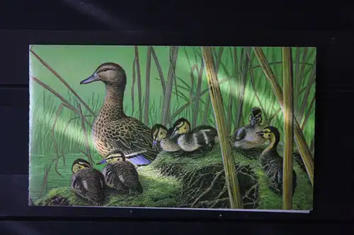 Belgien, Enten Markenheft 1989