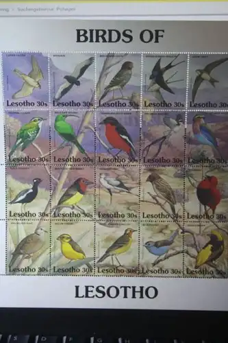 Lesotho, Kleinbogen Vögel