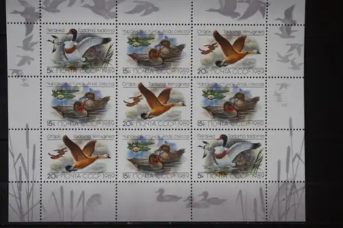 UdSSR, Kleinbogen 1989, Wasservögel, Enten