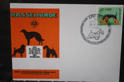 DDR Rassehunde, Rassehundeausstellung Erfurt, Hunde, 1977