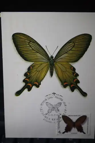 UdSSR, Schmetterling  1987, Maximumkarte