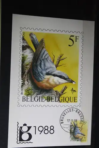 Belgien Vögel 1988, Maximumkarte