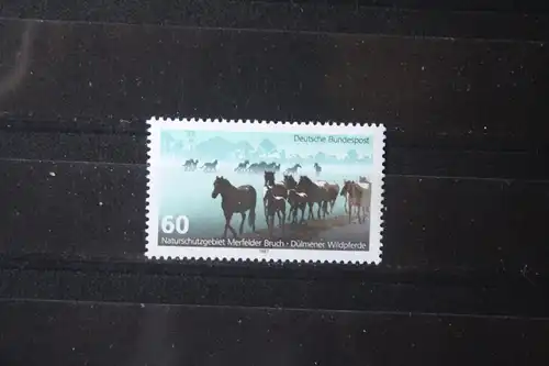 Deutschland, Tiere, Pferde , 1987