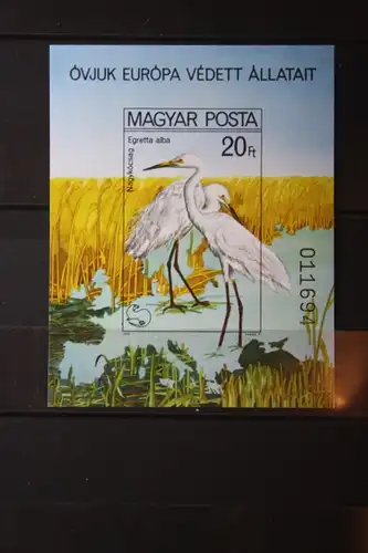 Ungarn, Europäisches Naturschutzjahr 1980,Vögel, ungezähnter Block B-Ausgabe