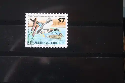 Österreich, Wasserwild, Enten, 2001