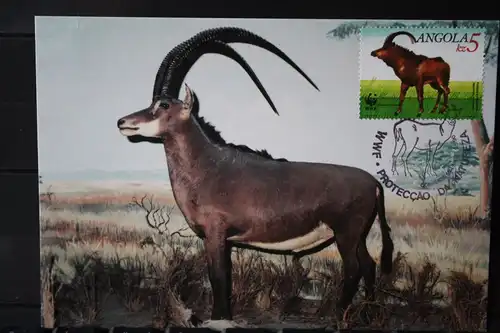 Angola, Antilope, WWF, 1990, Maximumkarte