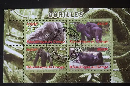 Congo, Wildtiere, Tiere, Affen, Gorillas