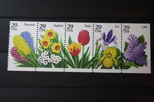 Blumen, USA, Zusammendruck