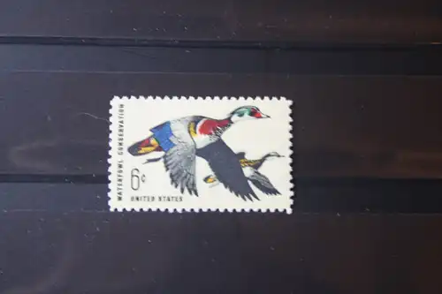 USA, Tiere, Vogel