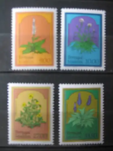 Madeira, Portugal-Madeira, Blumen, 1982