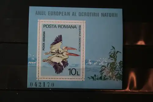 Rumänien Europäisches Naturschutzjahr 1980