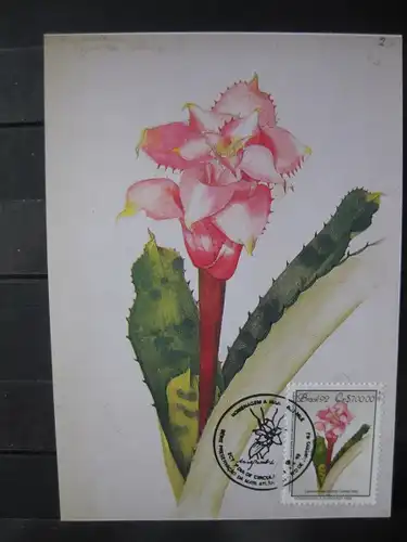 Brasilien, Brasil 82; Blumen, 2 MK