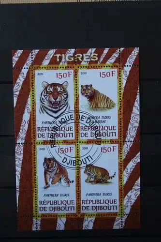 Tiger, Djibuti 2011
