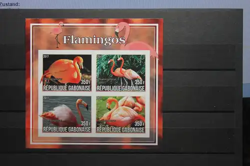 Gabun, Flamingos, 2017
