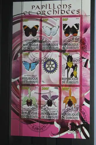 Djibuti, Schmetterlinge, Orchiden, 2010