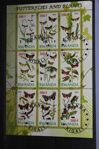 Rwanda, Schmetterlinge, 2012