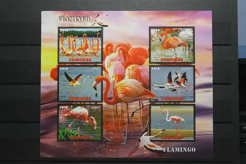 Comoren, Flamingos, 2016