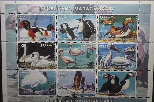 Madagaskar, 1999, Vögel