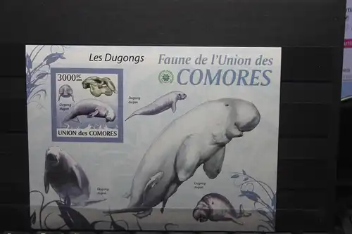 Komoren, Dugongs, 2009