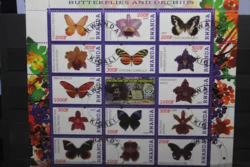 Rwanda, Schmetterlinge, 2009