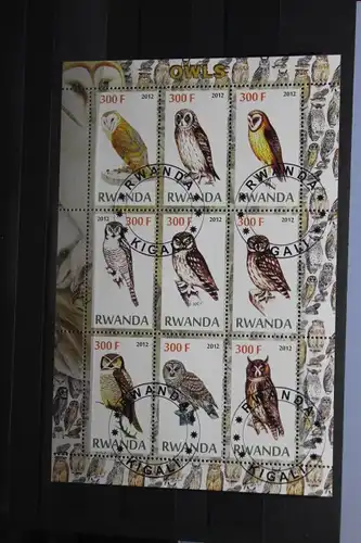 Rwanda, Vögel, 2012