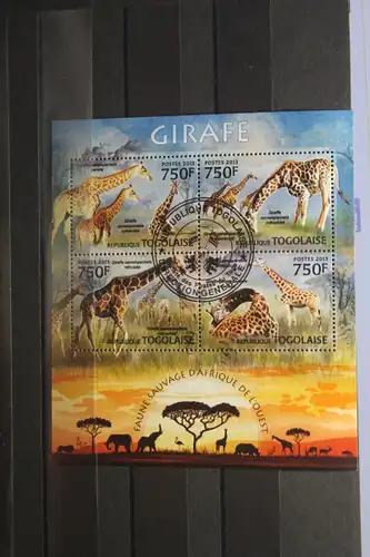 Togo, Giraffen, 2013