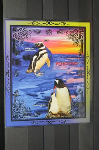 Zentralafrika, Pinguine, 2015