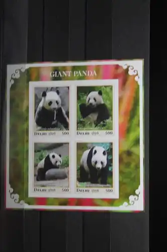 Delhi, Pandas, 2017