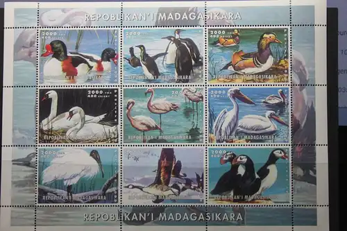 Madagaskar, Vögel,1999