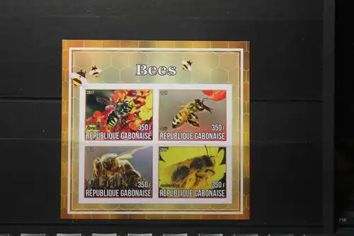 Gabun, Bienen, Insekten, 2017