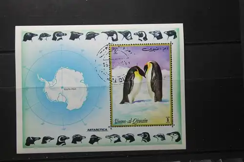 Umm-al-Qiwain, Pinguine