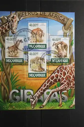 Mocambique,Giraffen, 2015