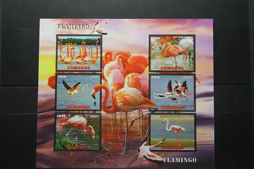 Comoren, Flamingos, Vögel, 2016