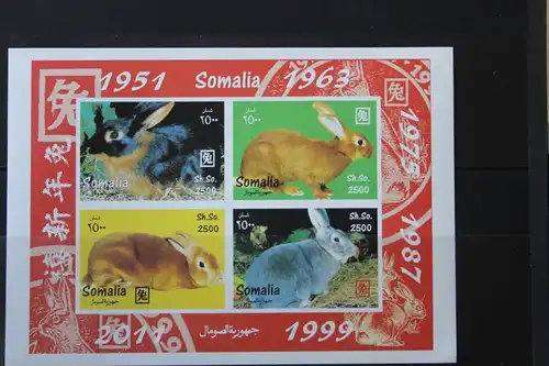 Somalia, Tiere, Hasen, 2011