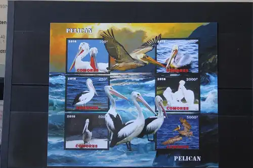 Comoren, Tiere, Pelikane, Vögel, 2016