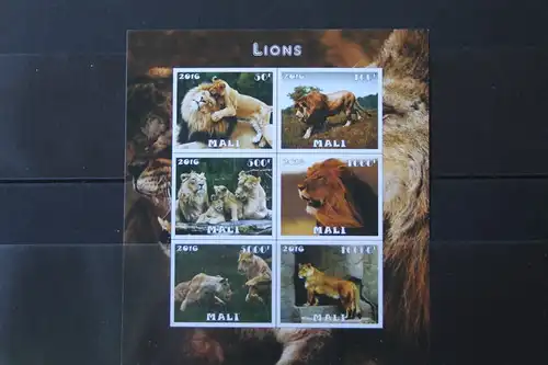 Mali, Tiere, Löwen, 2016