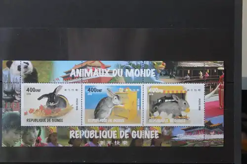 Guinea, Tiere, Hasen, 1998