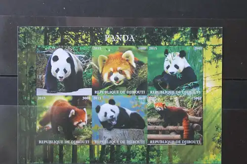 Djibuti, Tiere, Pandas, 2015