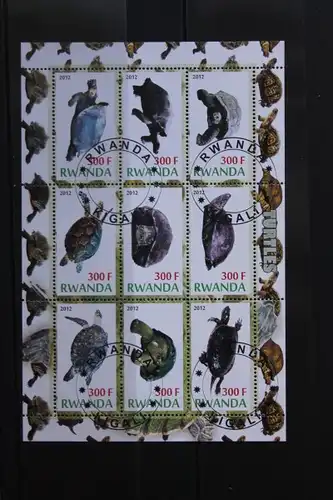 Rwanda, Tiere, Schildkröten , 2012