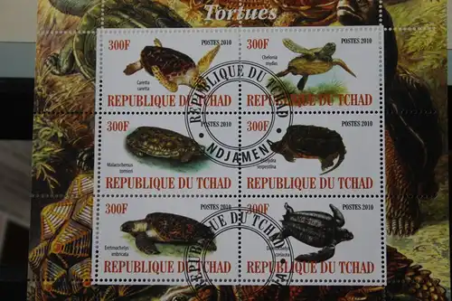 Tschad, Tiere, Schildkröten, 2010
