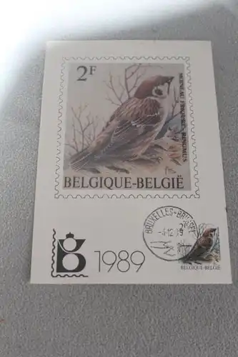 Maximumkarte Belgien: Vögel; 1989