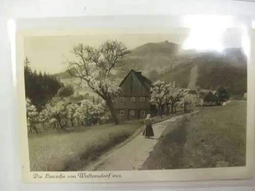 Lausche Waltersdorf i. Sachsen