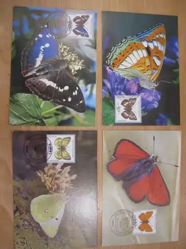 MK Schmetterlinge Für die Jugend 1991
