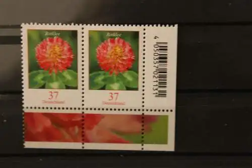 Deutschland Blumen: Rotklee, 37 C., waagerechtes Paar; MiNr. 3656, MNH