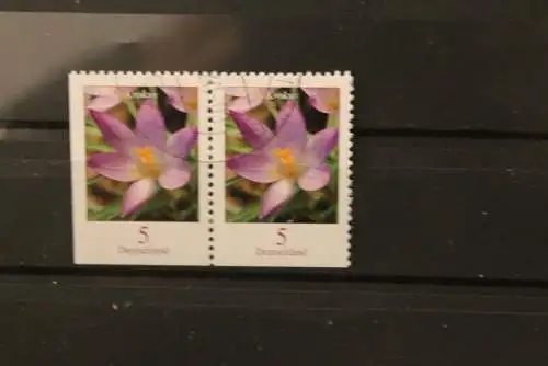 Deutschland 2005; Blumen: 5 Krokus, MiNr. 2480 D u, waagerechtes Paar;gestempelt