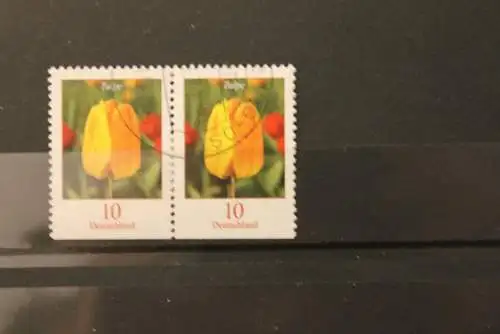 Deutschland 2005; Blumen: 10 Tulpe, MiNr. 2484 D u, waagerechtes Paar; gestempelt