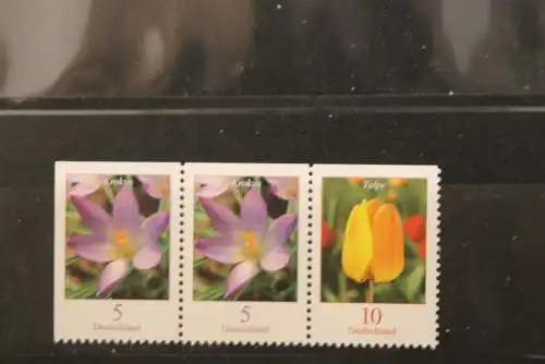 Deutschland 2005; Freimarken: Blumen; 2480 Do/2480 Do/2484 Do; MNH