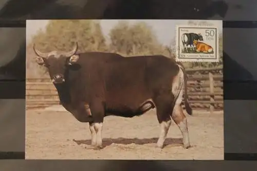 DDR 1985, Banteng (Büffel) auf Maximumkarte