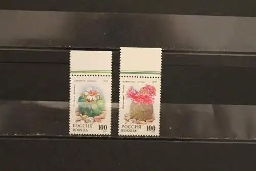 Rußland 1994, Blumen, Kakteen, MNH