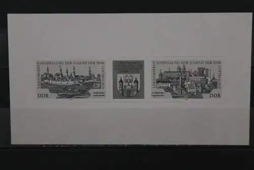 DDR 1978, Schwarzdruck 5. Briefmarken-Ausstellung der Jugend Cottbus, MiNr 2343-44